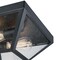 Westinghouse Fixture Ceiling Outdr Flush-Mount 60W 2-Light Wyndham 12In Txt, Black Clear Sd Glass 6114300 - alternate 4